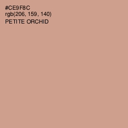 #CE9F8C - Petite Orchid Color Image